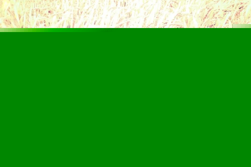1646186205807418